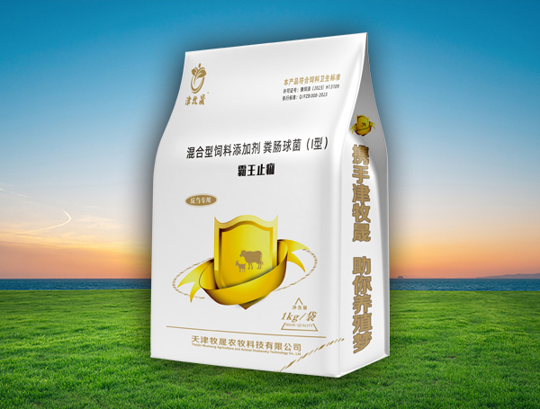 霸王止痢