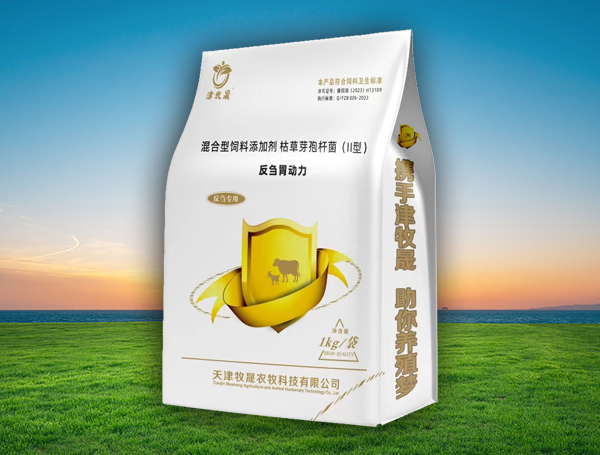 反刍胃动力